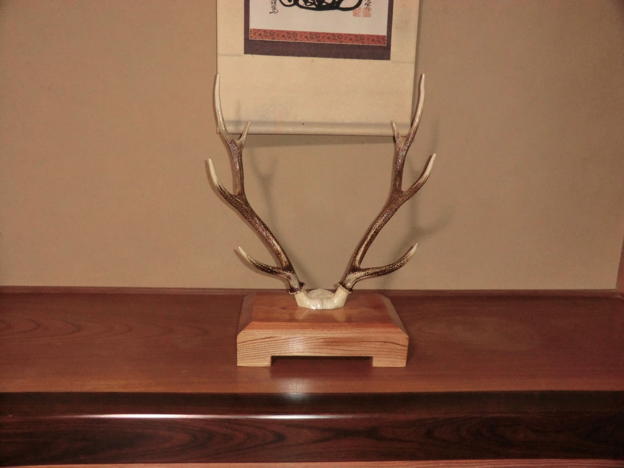 鹿の角の置物 : 宝の山 