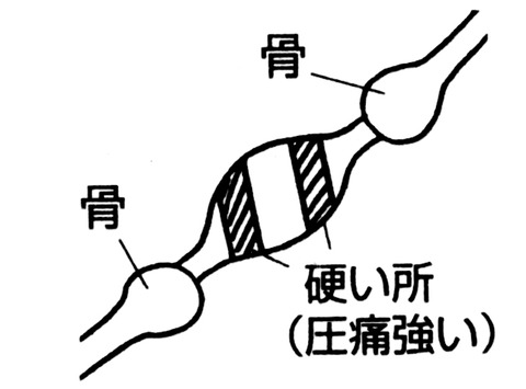 名称未設定 2