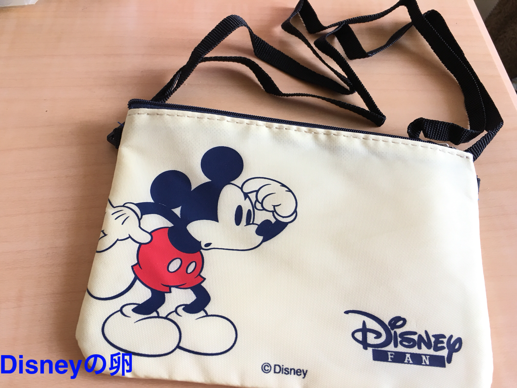 先月下旬 今年の ディズニーファン定期購読プレゼント が届いた Disneyの卵 先月下旬 今年の ディズニーファン定期購読プレゼント が届いた Disneyの卵