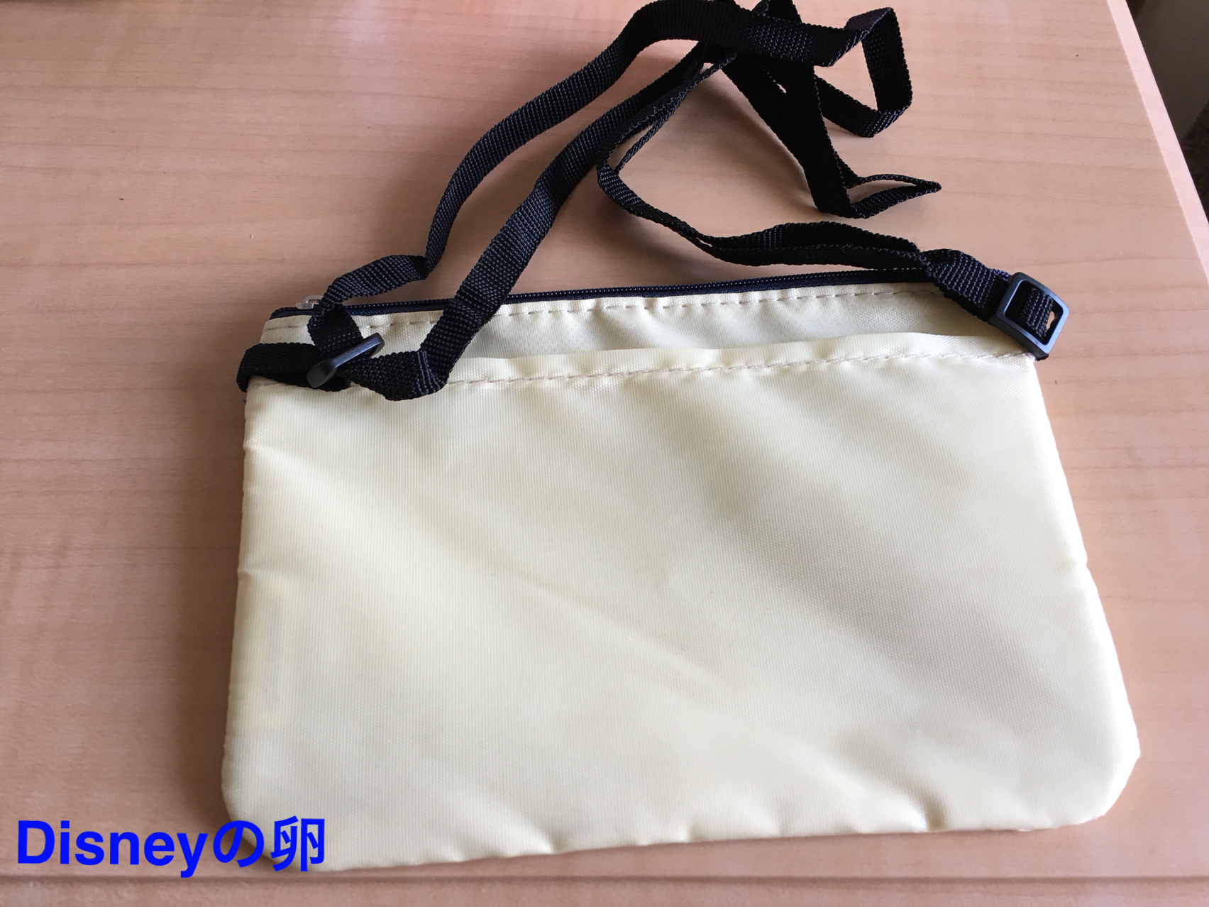 先月下旬 今年の ディズニーファン定期購読プレゼント が届いた Disneyの卵