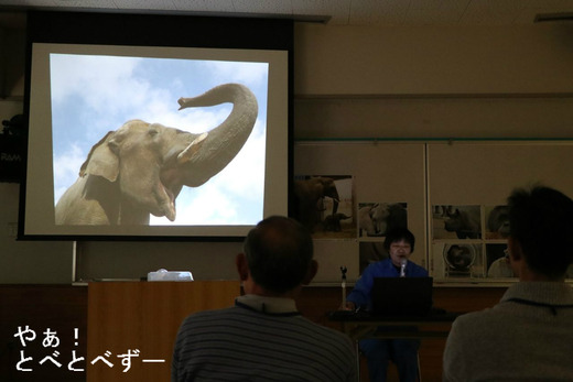 とべ動物園・動物サポーターズデー実施