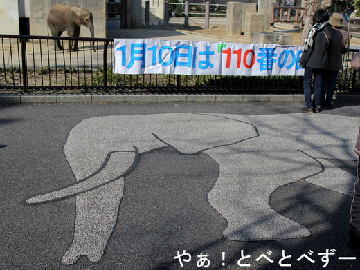 1月10日は110番の日:そしてケさんの誕生日