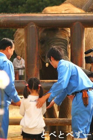 とべ動物園イベント情報：媛ちゃんのお誕生日会の様子