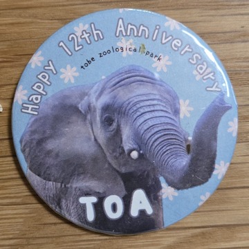 砥愛ちゃん12歳のお誕生会記念の缶バッジ