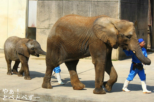 砥愛ちゃん、媛ちゃん