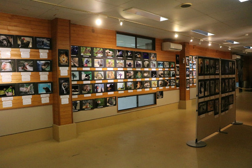 とべ動物園写真コンクール作品展(11/1~11/24開催)