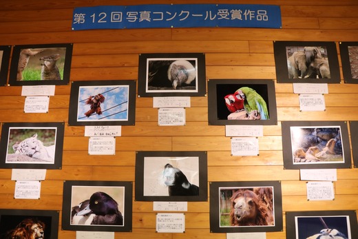 第12回 (2023年)とべ動物園写真コンクール