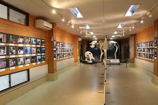 とべ動物園写真コンクール作品展:ふれあいセンター(~12/5)