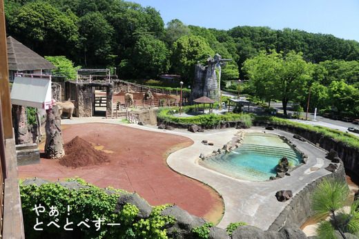 多摩動物公園アフリカゾウ舎