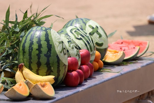 とべ動物園イベント：アフリカゾウ砥愛ちゃんのお誕生会