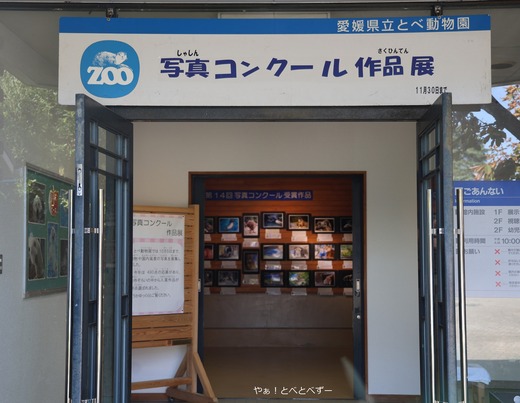 とべ動物園写真コンクール作品展