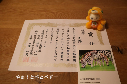 とべ動物園ブログ:第9回とべ動物園写真コンクール