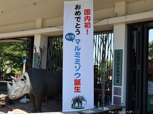 安佐動物公園マルミミゾウのブログ:やぁ!とべとべずー