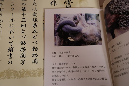 とべ動物園写真コンクール
