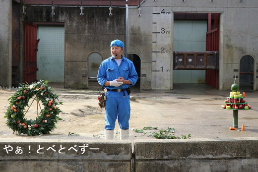 とべ動物園アフリカゾウのレジェンド飼育員さん：椎名修さん