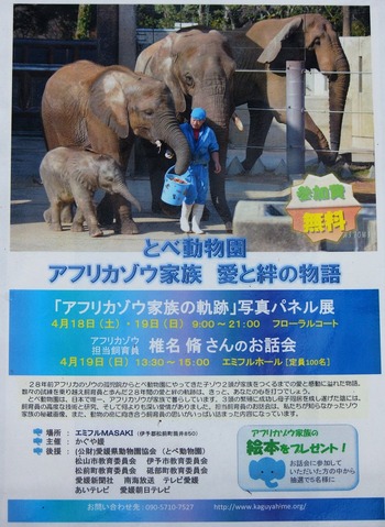 『とべ動物園 アフリカゾウ家族 愛と絆の物語』