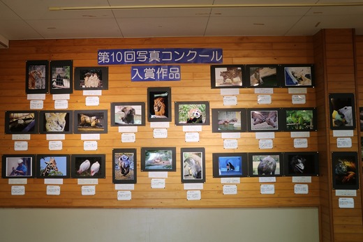 第10回とべ動物園写真コンクール入賞作品展