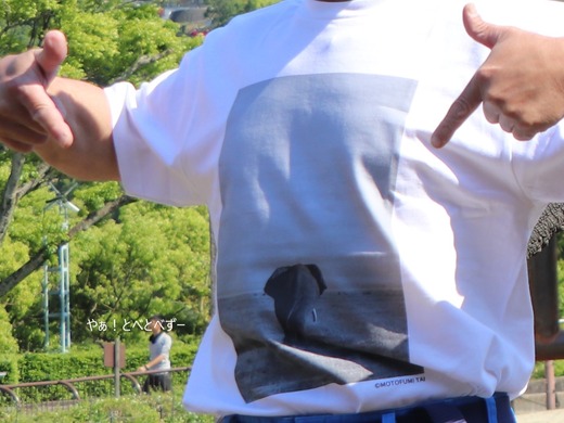 アフリカゾウ、アジアゾウ大好きブログ：やぁ！とべとべずー