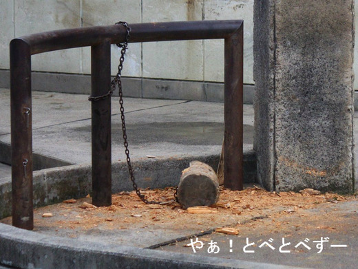 愛媛県立とべ動物園ゾウ舎