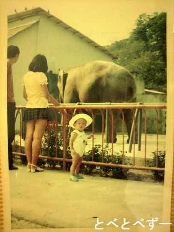 1970年台の道後動物園のゾウ舎（昭和６３年に、とべ動物園に移転）