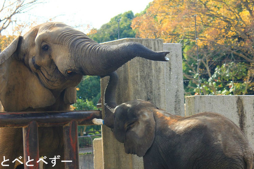 砥夢くんお別れ会でのアフ父さんと砥夢。涙涙