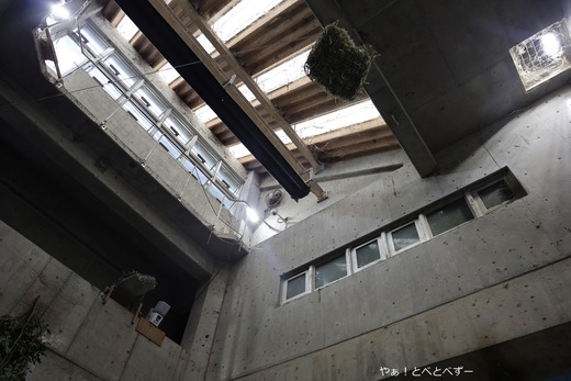 世界ゾウの日のイベント＠愛媛県立とべ動物園