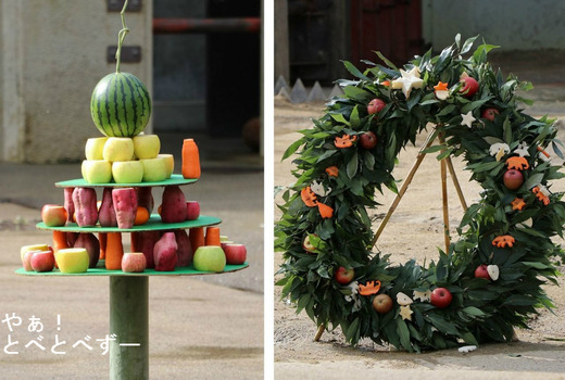 とべ動物園クリスマスイベント2016：果物のツリーとリース