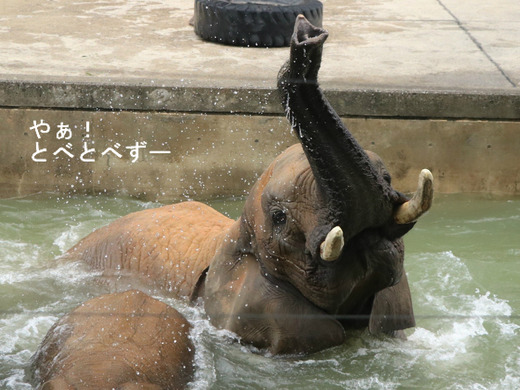 プールではしゃぐリカ母さん