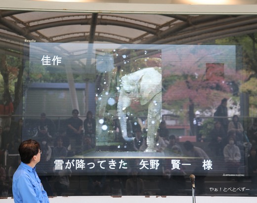 とべ動物園写真コンクール表彰式