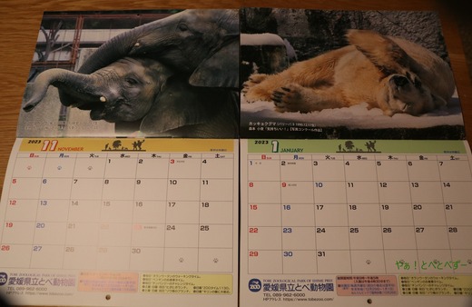 とべ動物園ブログ:砥愛、まんぷく、グレイ、小夏、バリーバ、