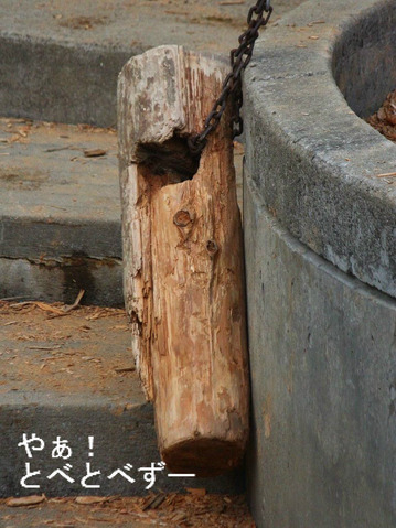 愛媛県立とべ動物園