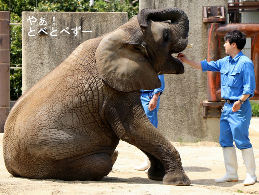 とべ動物園イベント：砥愛ちゃんの５歳のお誕生会（2018.6.2）