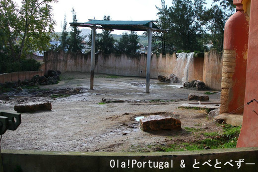 海外の動物園：リスボン動物園（アフリカゾウ舎）