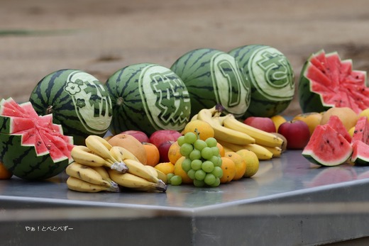 媛ちゃんの19歳のお誕生会＠愛媛県立とべ動物園