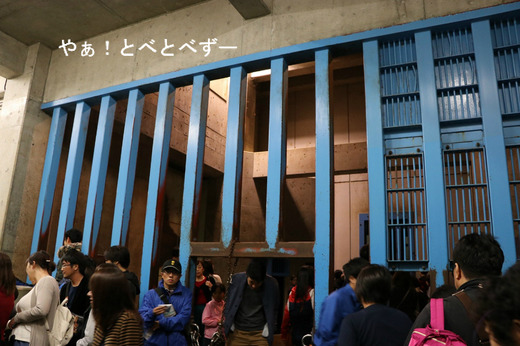 とべ動物園夜の動物園：アフリカゾウさんのお宅訪問