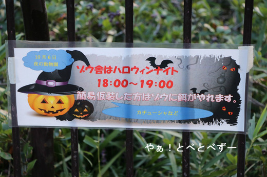 とべ動物園イベント：夜の動物園（秋の部）