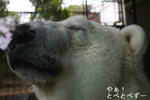 ピース