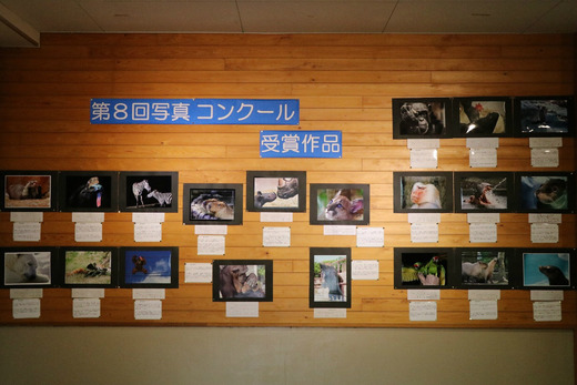 とべ動物園写真コンクール作品展
