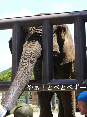 日本動物園水族館協会・古賀賞受賞