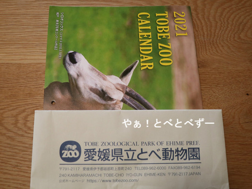 とべ動物園ブログ:やぁ!とべとべずー