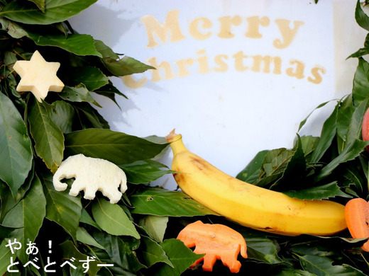 とべ動物園アフリカゾウのクリスマスイベント