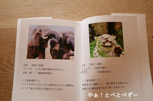 とべ動物園ブログ:砥愛、ララ、イオ、フー、ウララ、ルビー