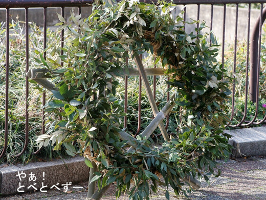 とべ動物園アフリカゾウのイベント：クリスマスリースをプレゼント