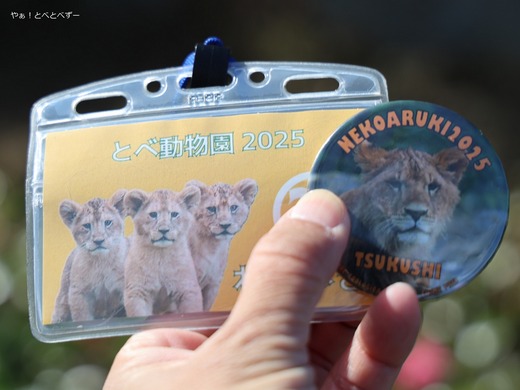 とべ動物園イベント：「とべ動物園 ねこ歩き」