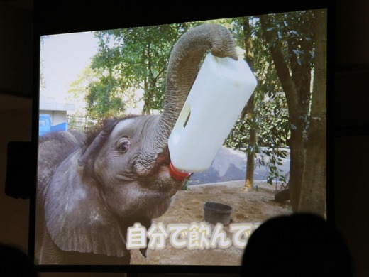 愛媛県立とべ動物園:動物サポーターズーデー