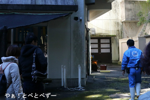 愛媛県立とべ動物園動物サポータ制度