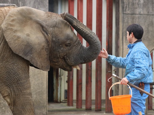 もう直ぐ開園30周年を迎える愛媛県立とべ動物園