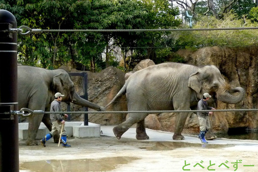 ディズニーの「ダンボ」の世界