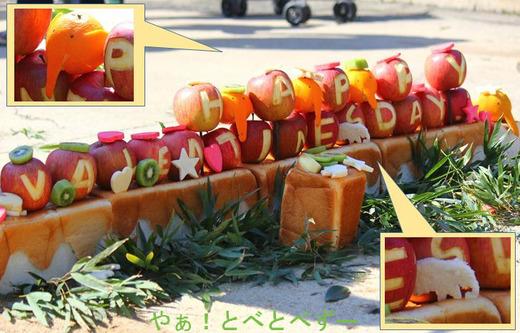 とべ動物園イベント情報：アフリカゾウへのプレゼント