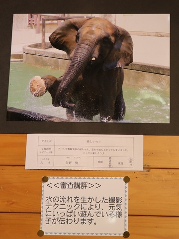 とべ動物園写真コンクール：特選